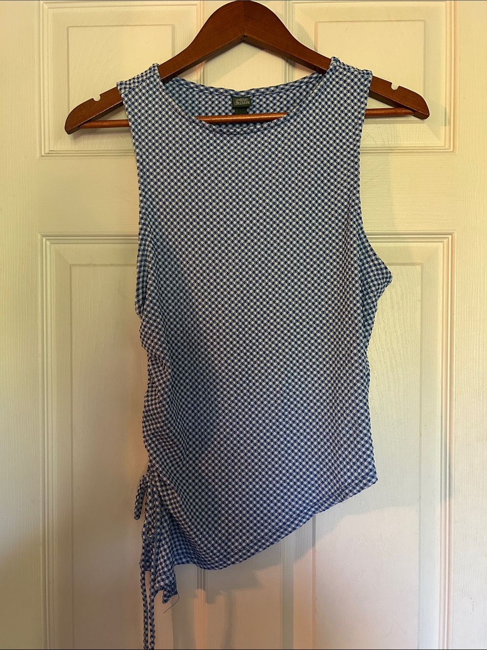 wild fable Blue Gingham Sleeveless Tank with Side Tie